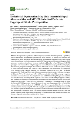 Endothelial Dysfunction May Link Interatrial Septal Abnormalities and MTHFR-Inherited Defects to Cryptogenic Stroke Predisposition