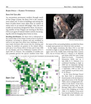 Barn Owls — Family Tytonidae