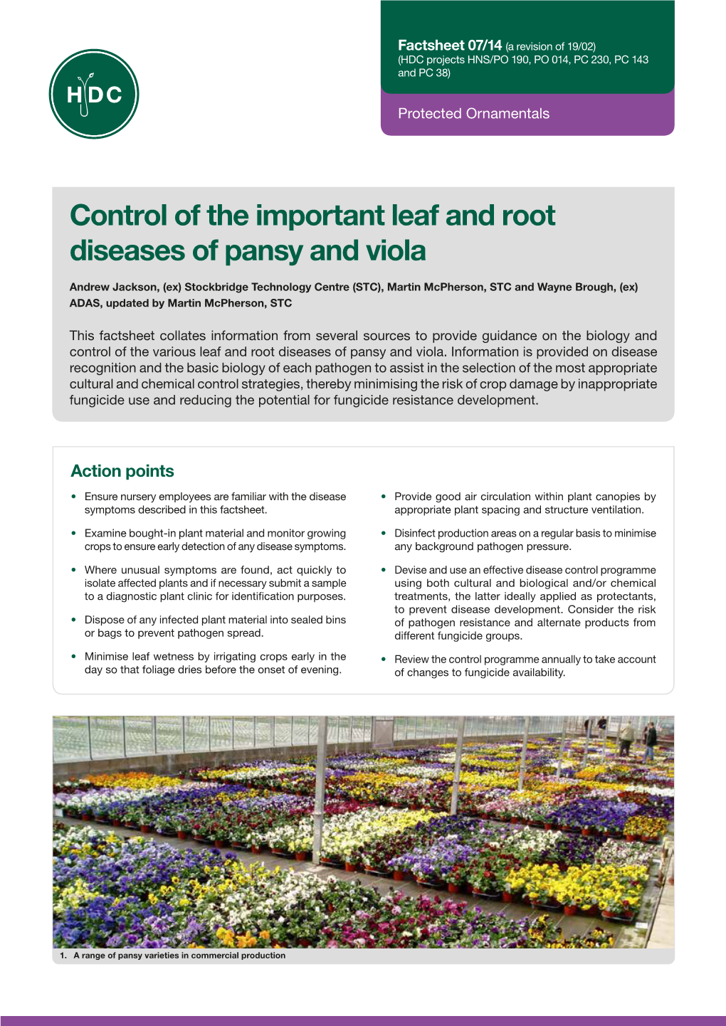 Control of the Important Leaf and Root Diseases of Pansy and Viola