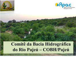 Comitê Da Bacia Hidrográfica Do Rio Pajeú – COBH/Pajeú