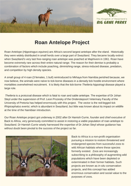 Copy of Roan Antelope Project