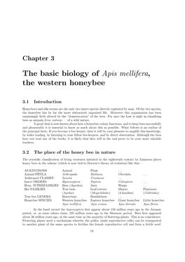 The Basic Biology of Apis Mellifera, the Western Honeybee