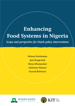 Enhancing Food Systems in Nigeria Scope and Perspective for Dutch Policy Interventions