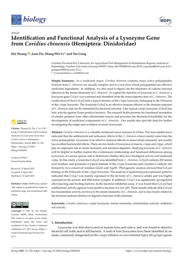 Identification and Functional Analysis of a Lysozyme Gene from Coridius Chinensis