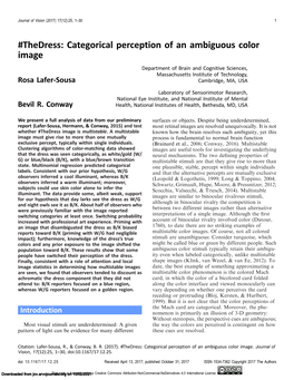 Thedress: Categorical Perception of an Ambiguous Color Image