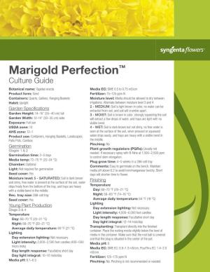Marigold Perfection™