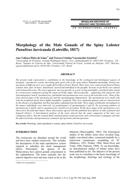 Morphology of the Male Gonads of the Spiny Lobster Panulirus Laevicauda (Latreille, 1817)