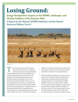 Energy Development's Impacts on the Wildlife, Landscapes, And