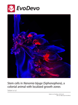 Stem Cells in Nanomia Bijuga (Siphonophora), a Colonial Animal with Localized Growth Zones Siebert Et Al
