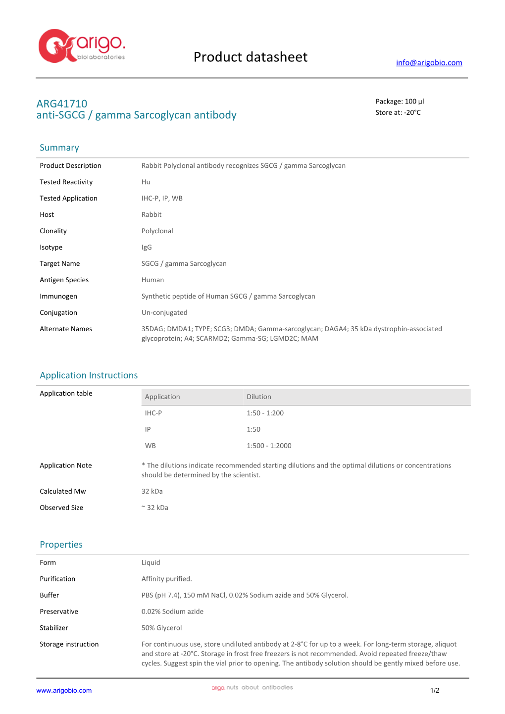 Anti-SGCG / Gamma Sarcoglycan Antibody (ARG41710)