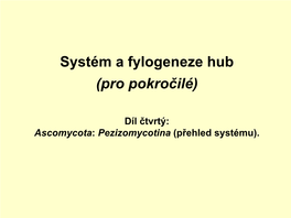 Systém a Fylogeneze Hub (Pro Pokročilé)