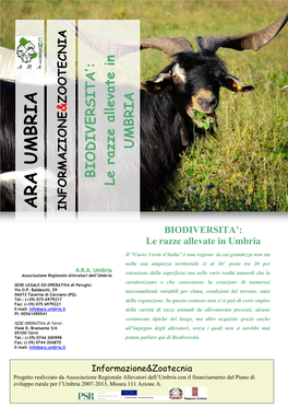 Razze Allevate in Umbria