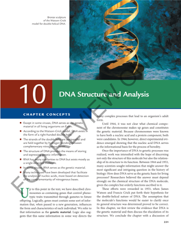 10 DNA Structure and Analysis Chapter Concepts Many Complex Processes That Lead to an Organism’S Adult Form