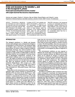 Order and Dynamics in the Lamellar L Alpha and in the Hexagonal HII