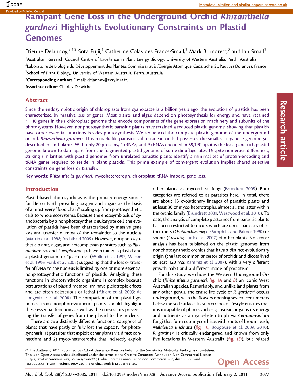 Rampant Gene Loss in the Underground Orchid Rhizanthella