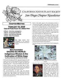 Indigenous Wisdom & the Cultivation of White Sage