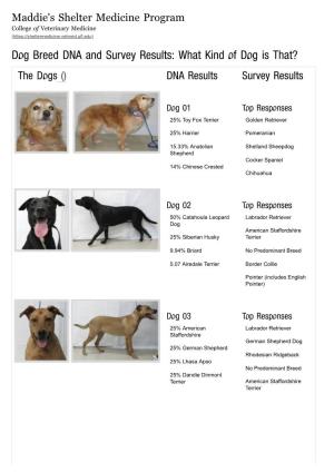 Dog Breed DNA and Survey Results: What Kind of Dog Is That? the Dogs () DNA Results Survey Results