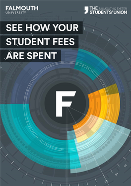 Falmouth University Finance Figures 2020