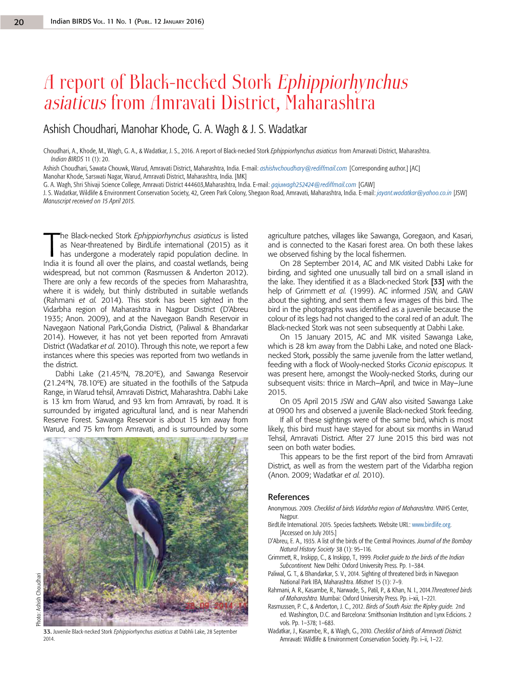 A Report of Black-Necked Stork Ephippiorhynchus Asiaticus from Amravati District, Maharashtra Ashish Choudhari, Manohar Khode, G