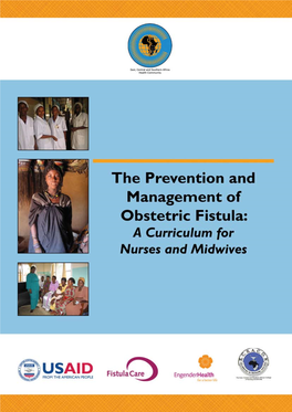 Prevention and Management of Obstetric Fistula: a Curriculum for Nurses and Midwives