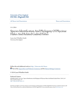 Species Identification and Phylogeny of Phycinae Hakes and Related Gadoid Fishes Laura Ann Whitefleet-Smith University of New England