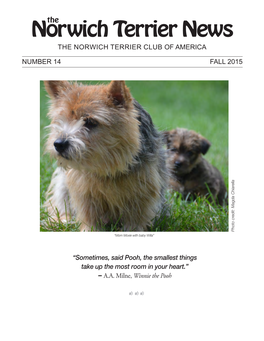 Norwich Terrier News the NORWICH TERRIER CLUB of AMERICA
