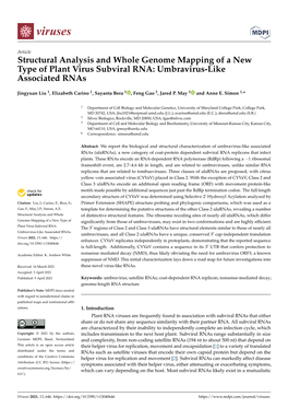 Structural Analysis and Whole Genome Mapping of a New Type of Plant Virus Subviral RNA: Umbravirus-Like Associated Rnas