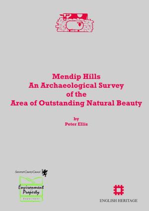 Mendip Hills AONB Survey