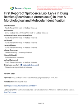 First Report of Spirocerca Lupi Larva in Dung Beetles (Scarabaeus Armeniacus) in Iran: a Morphological and Molecular Identifcation