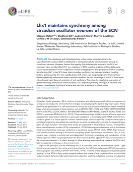 Lhx1 Maintains Synchrony Among Circadian Oscillator Neurons