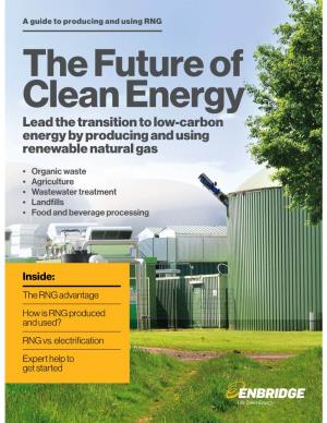 Lead the Transition to Low-Carbon Energy by Producing and Using Renewable Natural Gas