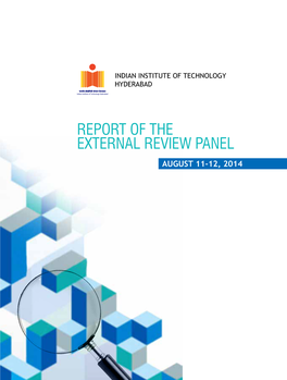 Report of the External Review Panel