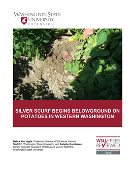 Silver Scurf Begins Belowground on Potatoes in Western Washington