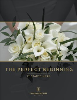 The Perfect Beginning