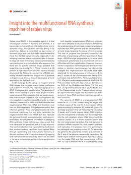 Insight Into the Multifunctional RNA Synthesis Machine of Rabies Virus COMMENTARY Ervin Fodora,1