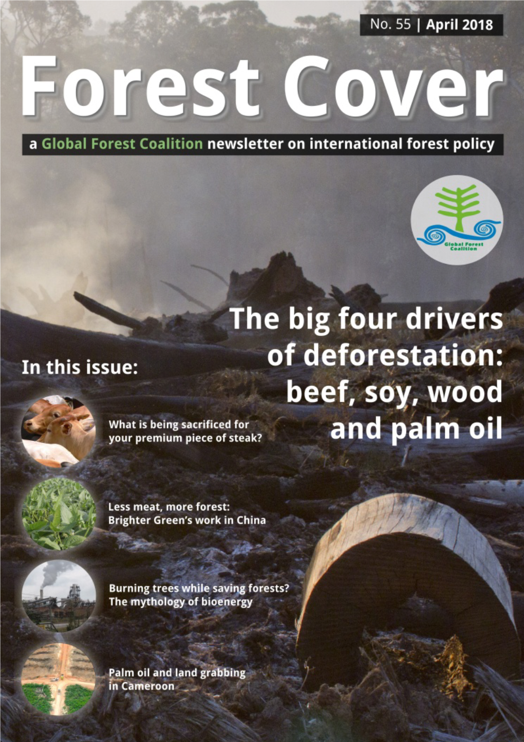 Forest Cover: a Global Forest Coalition Newsletter on International Forest Policy April 2018 the Big Four Drivers of Deforestation 2