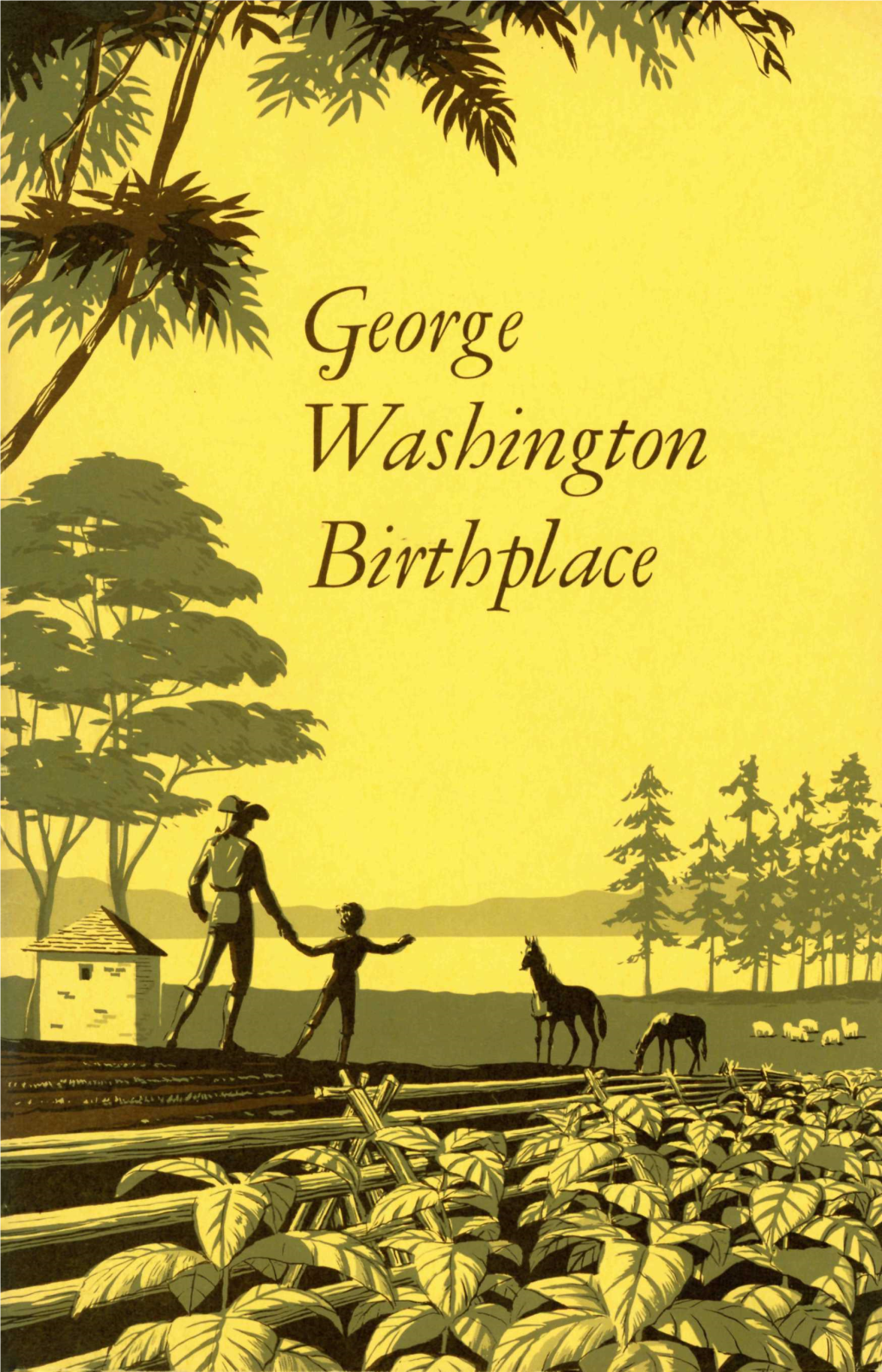 Qeorge Washington Birthplace UNITED STATES DEPARTMENT of the INTERIOR Fred A