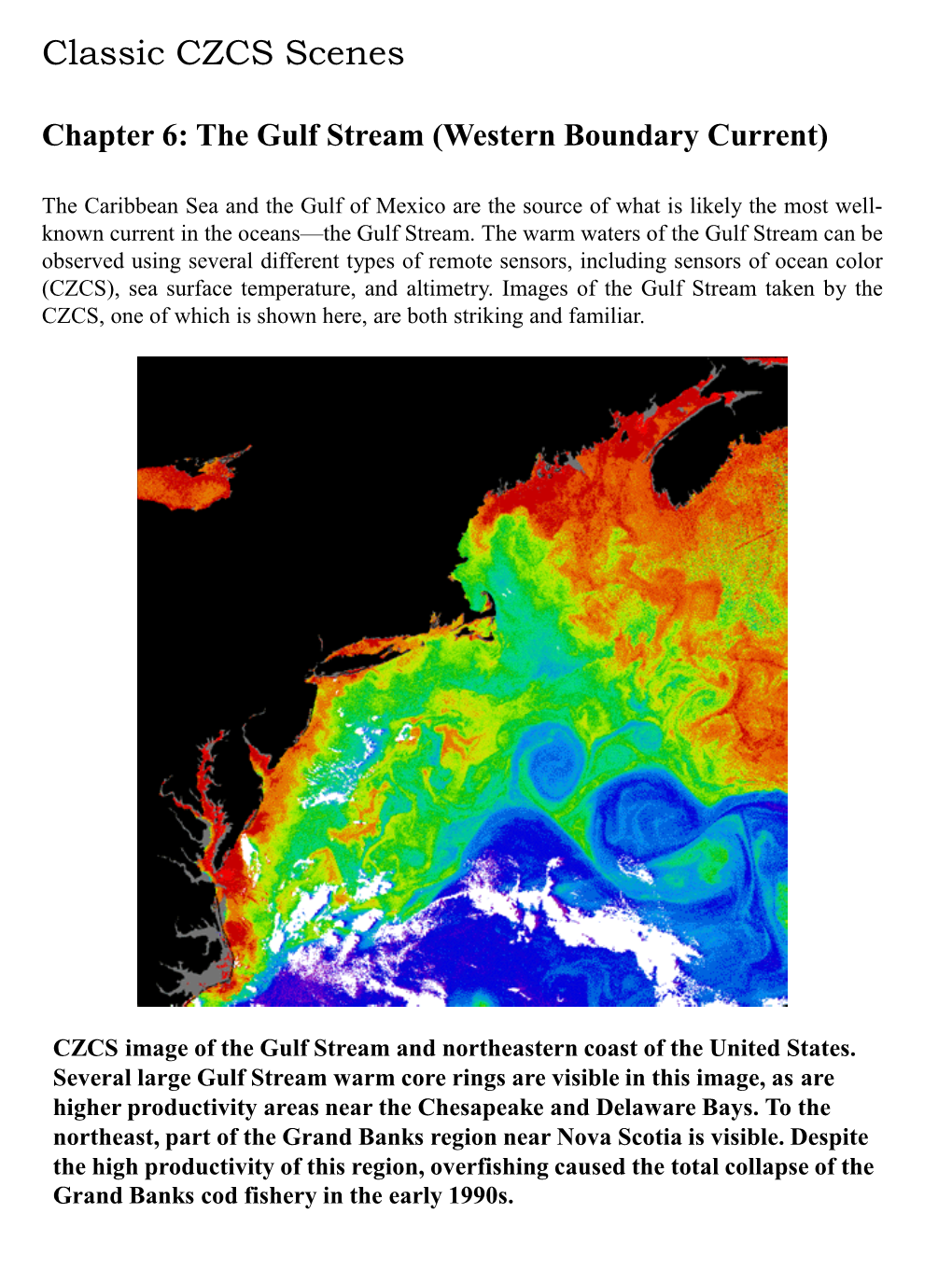 The Gulf Stream (Western Boundary Current)