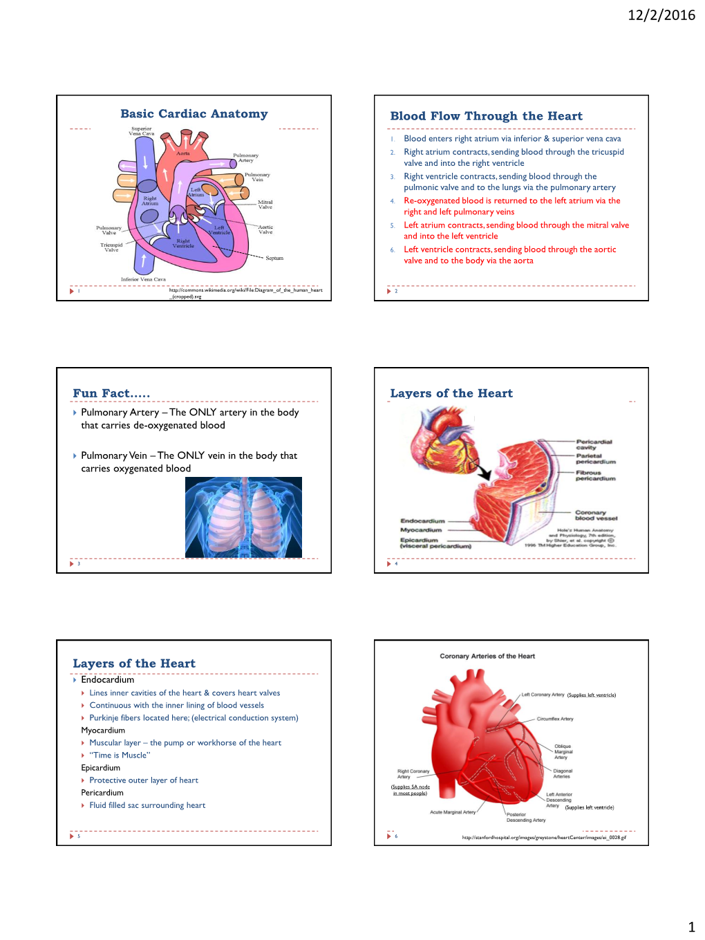 Basic ECG Interpretation