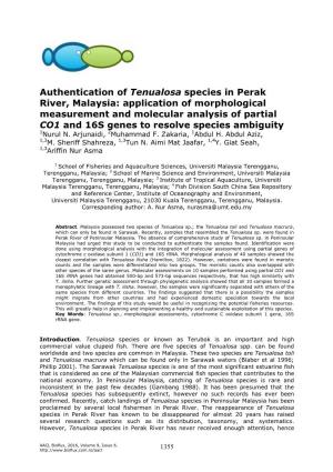 Authentication of Tenualosa Species in Perak River, Malaysia