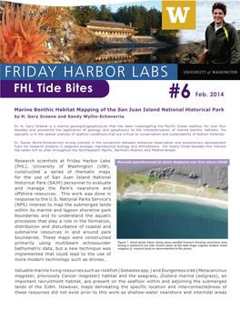 FHL Tide Bites #6 Feb