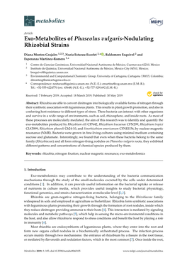Exo-Metabolites of Phaseolus Vulgaris-Nodulating Rhizobial Strains