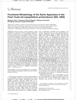 Functional Morphology of the Sonic Apparatus in the Fawn Cusk-Eel