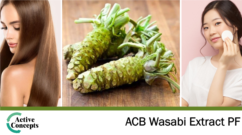 ACB Wasabi Extract PF 20351PF-ACB Wasabi Extract PF Antioxidant + Antimicrobial Action + Rejuvenating