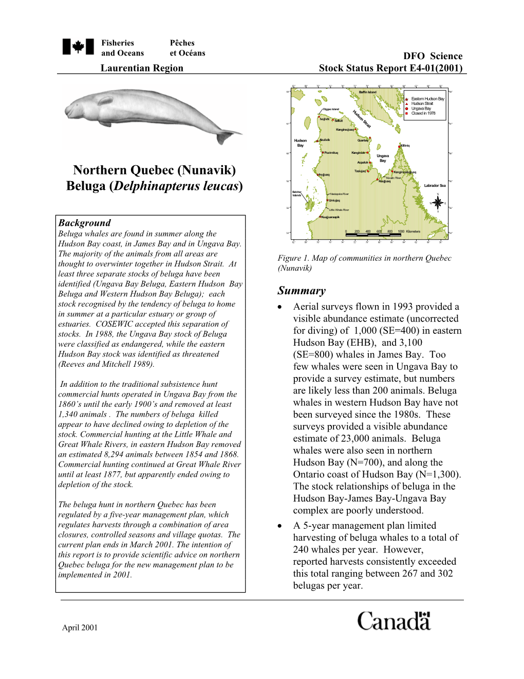 Nunavik) Beluga (Delphinapterus Leucas