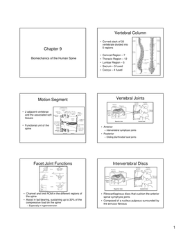 Chapter 9 Vertebral Column Motion Segment Vertebral Joints Facet Joint Functions Intervertebral Discs