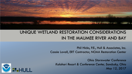 Unique Wetland Restoration Considerations in the Maumee River and Bay