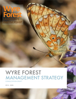 Management Strategy Consultation Draft