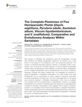 The Complete Plastomes of Five Hemiparasitic Plants (Osyris Wightiana, Pyrularia Edulis, Santalum Album, Viscum Liquidambaricolum, and V