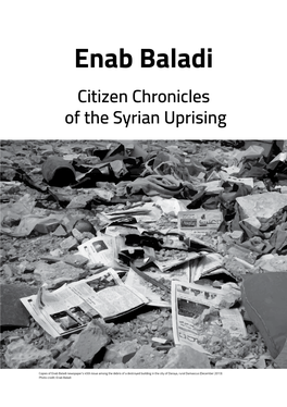 Enab Baladi Citizen Chronicles of the Syrian Uprising